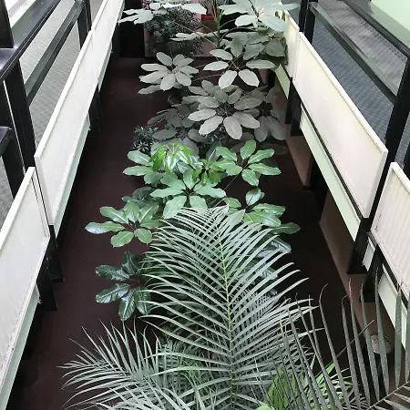 Hotel Turismo